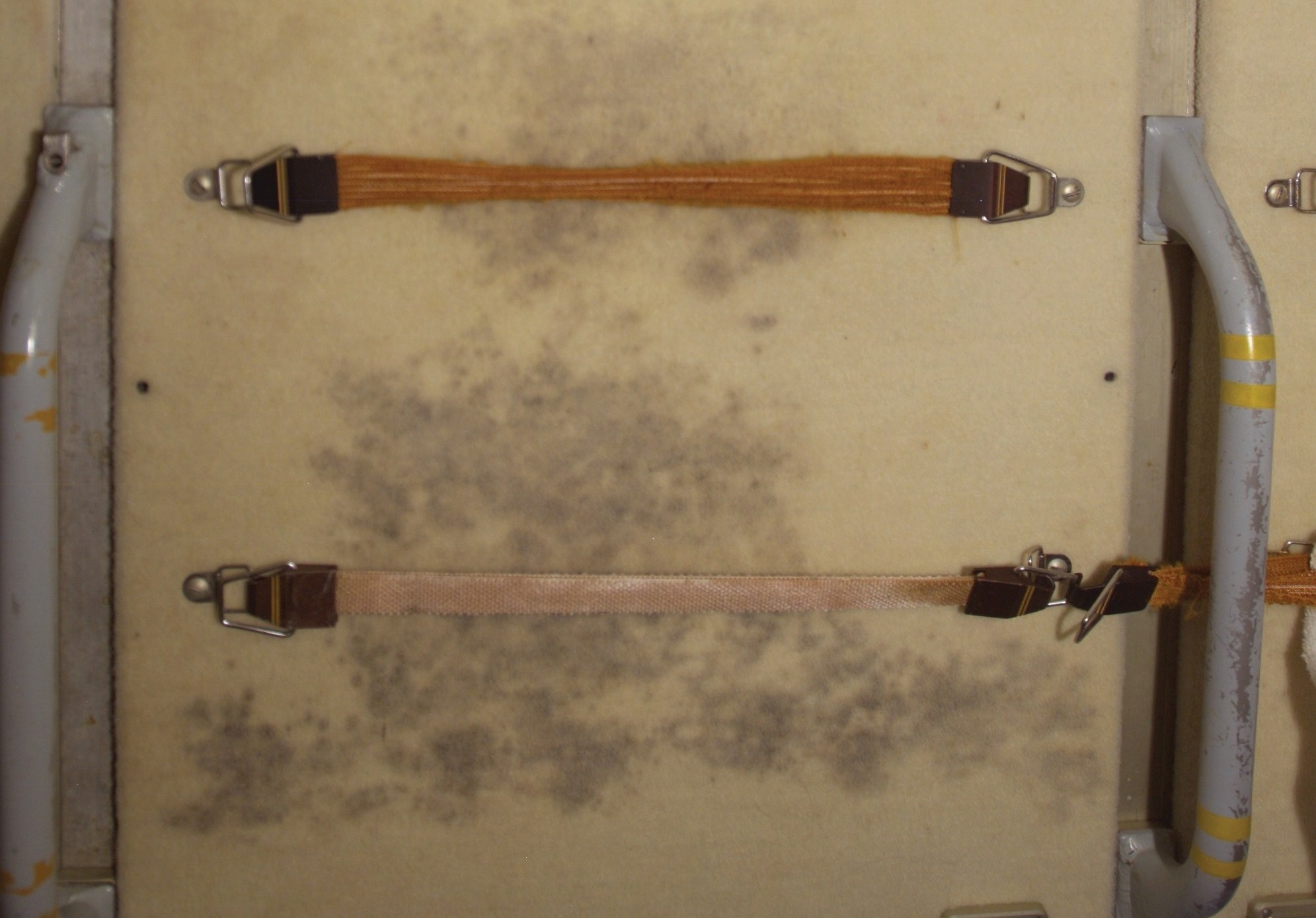 2_microbiology_applications