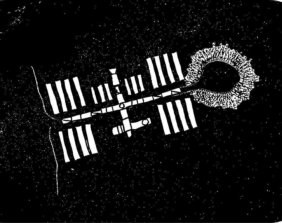 What happens when Filamentous Fungi colonize&nbsp;spacecrafts?